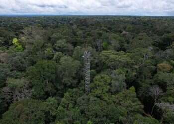 Ancient 'lost cities' come alive in Amazon thanks to laser