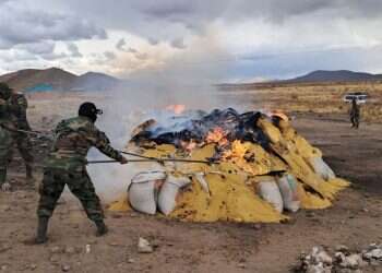 $2B soy ploy: Bolivia destroys record-breaking cocaine bust