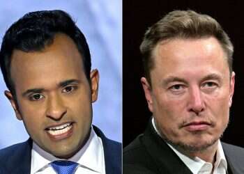 Will Musk and Ramaswamy succeed where lawmakers failed?