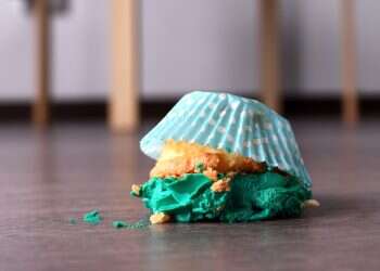 '5-second rule': Fact or myth?