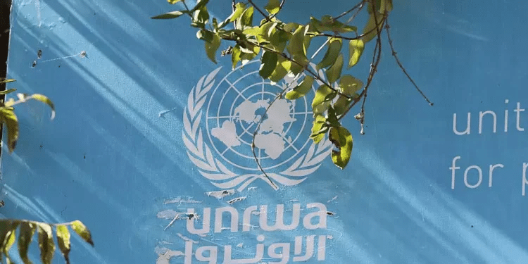 Who will replace UNRWA?