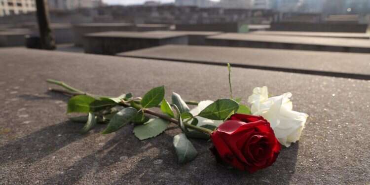Holocaust knowledge gaps widen among young adults, 8-nation study reveals