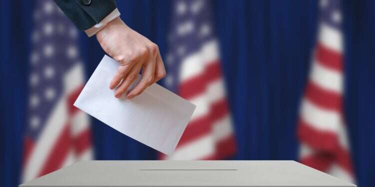 6 fascinating elections to watch in 2025