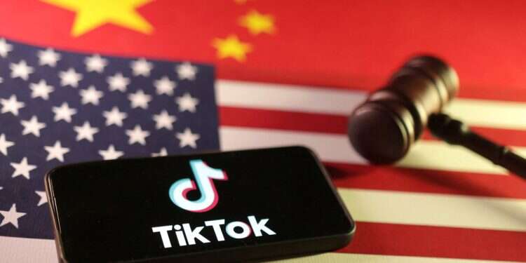 X's new sister? Musk could take over US' TikTok