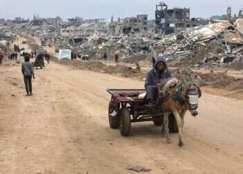 Now is the time for Gazan emigration