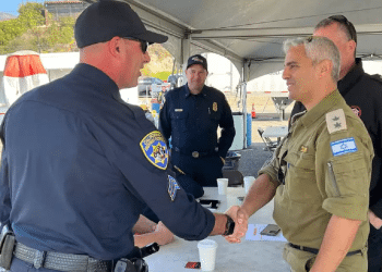 How the IDF helped save LA from wildfires