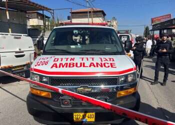 Sirens to soulmates: Israeli EMTs get engaged