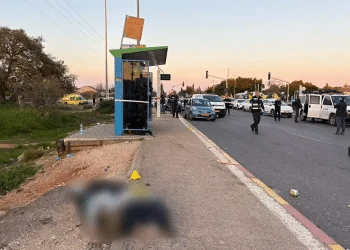 Car-ramming attack at Karkur junction