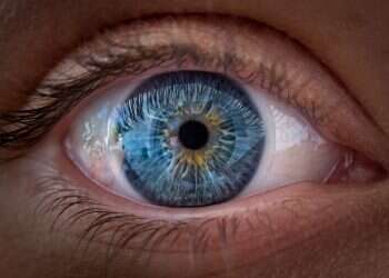 Scientists announce discovery of new color named 'olo'